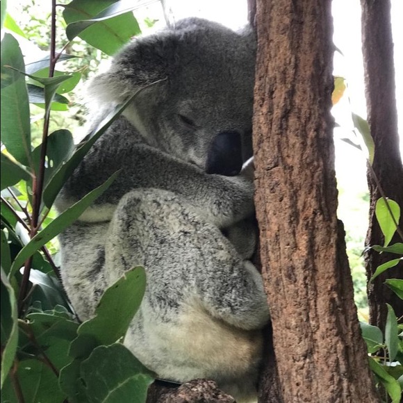 Meet your Posher, Emma - Picture 6 of 8